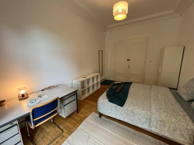 Chambres Privees -Private Room- Dans Un Spacieux Appartement - 100M2 Centre Proche Gare Mulhouse Esterno foto