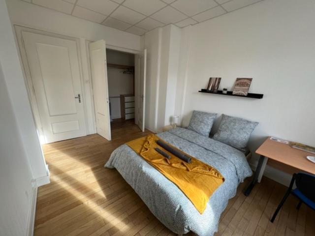 Chambres Privees -Private Room- Dans Un Spacieux Appartement - 100M2 Centre Proche Gare Mulhouse Esterno foto